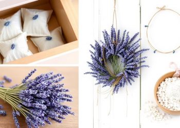 getrockneter lavendel ideen