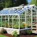 gewächshaus selber bauen