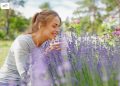 Lavendel im Garten: Die besten Ideen